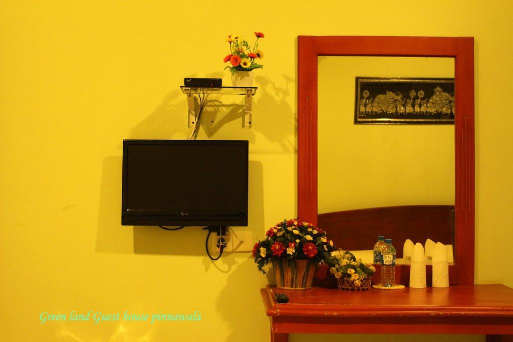 Green Land Guest House Pinnawala  Buitenkant foto