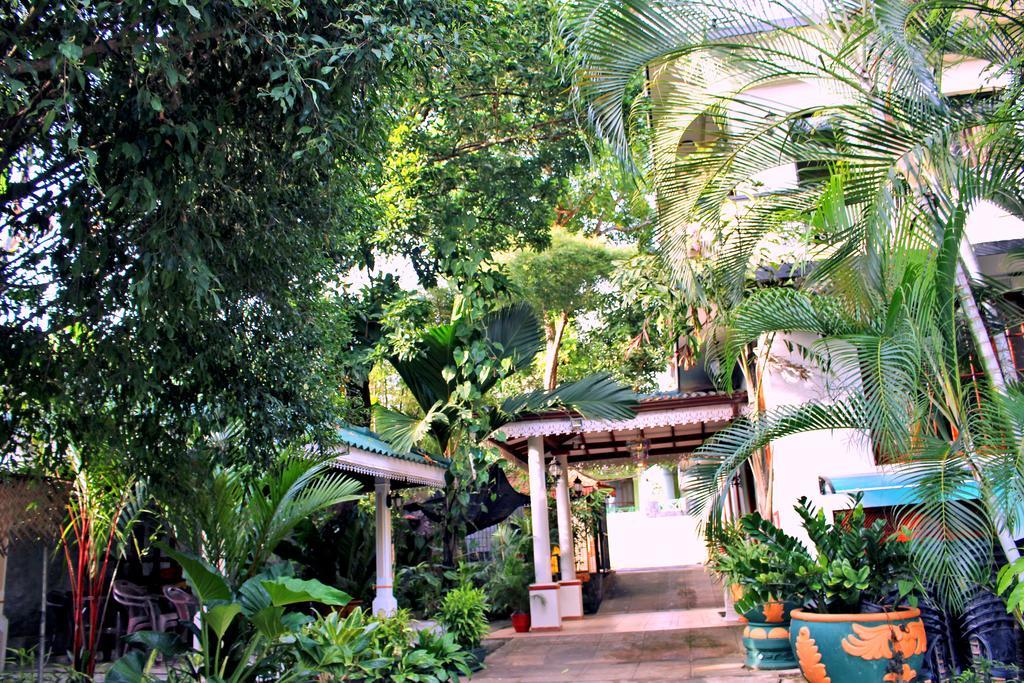 Green Land Guest House Pinnawala  Buitenkant foto
