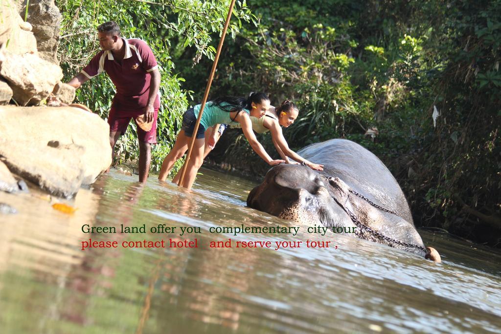 Green Land Guest House Pinnawala  Buitenkant foto