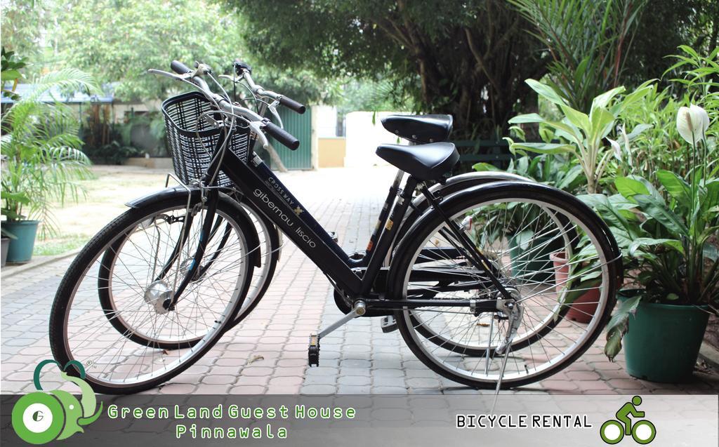 Green Land Guest House Pinnawala  Buitenkant foto