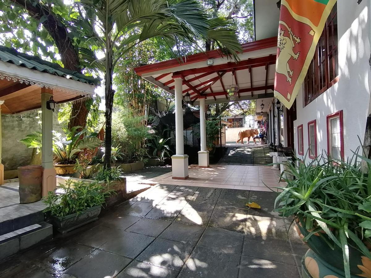 Green Land Guest House Pinnawala  Buitenkant foto
